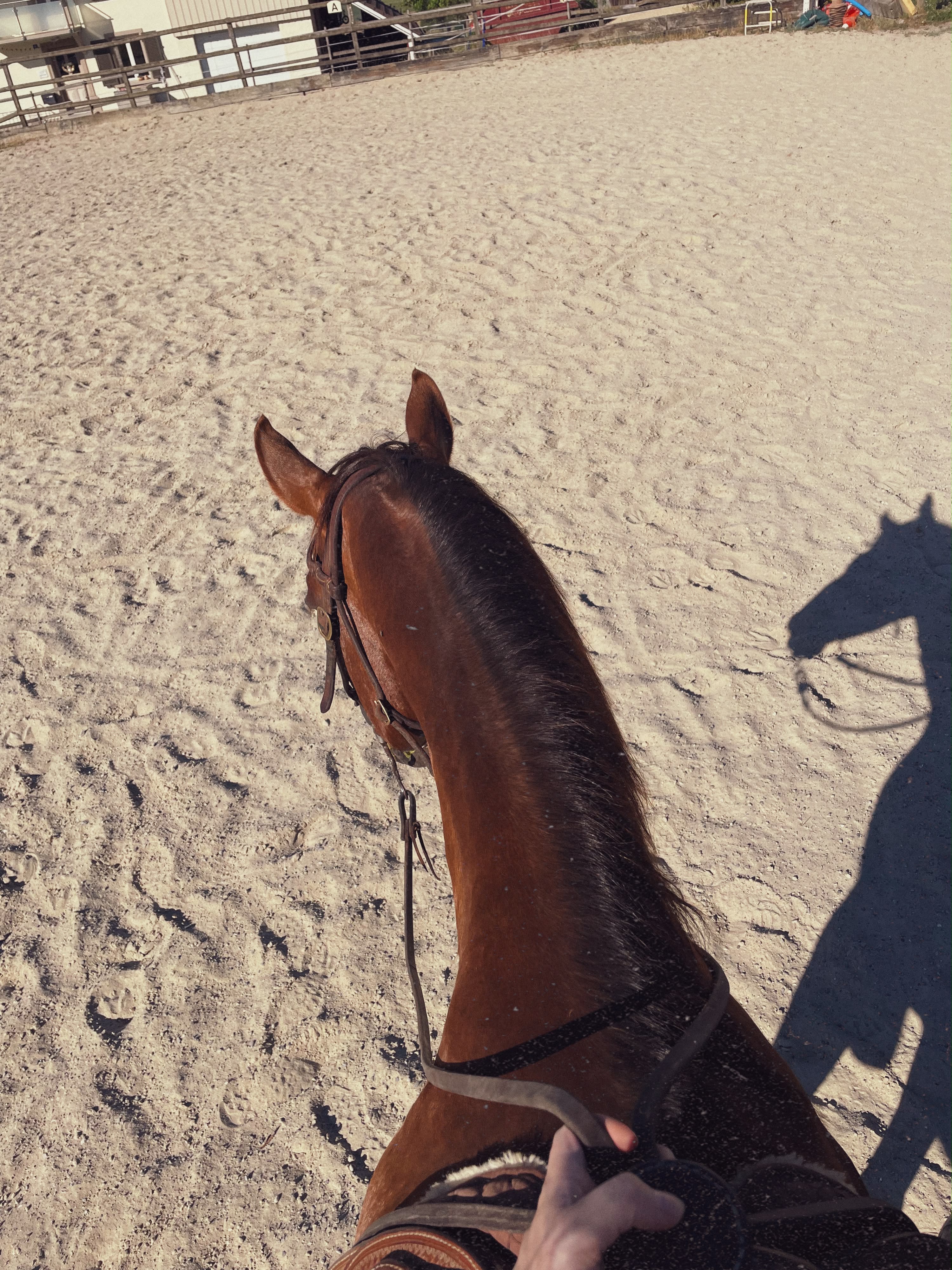 Unterwegs im Sandplatz