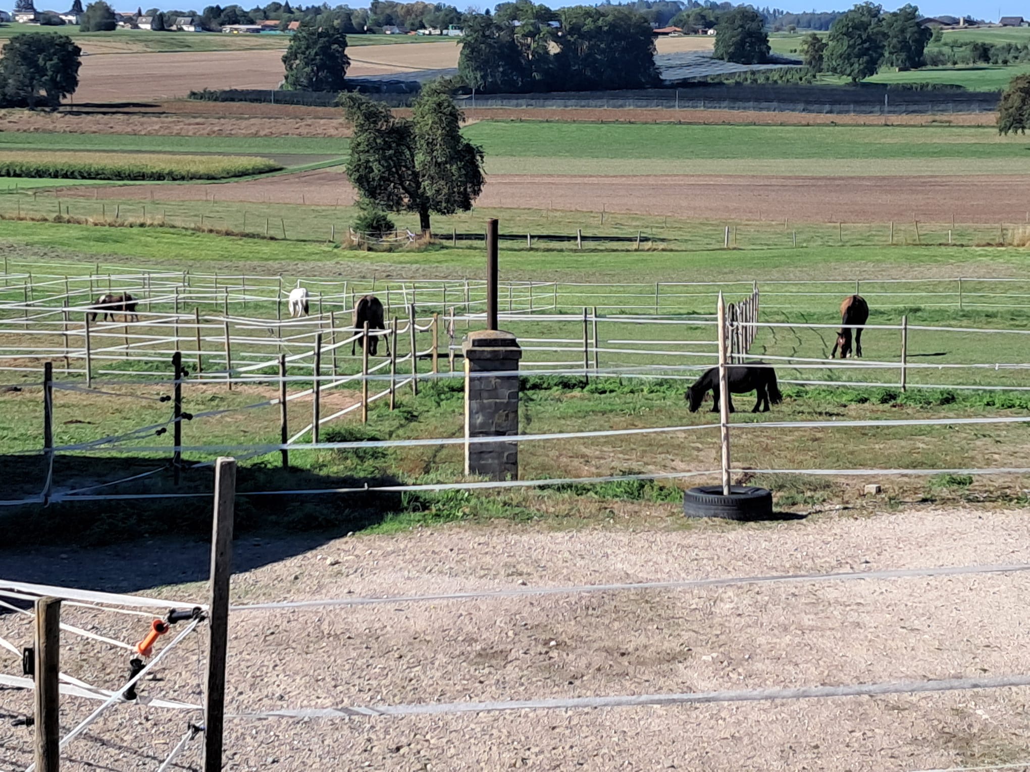 Weitläufige Weiden mit Blick über die Felder