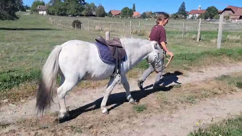 Ponyreiten auf dem Hof (Video)