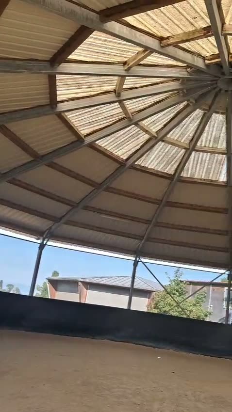 Roundpen video (Video)