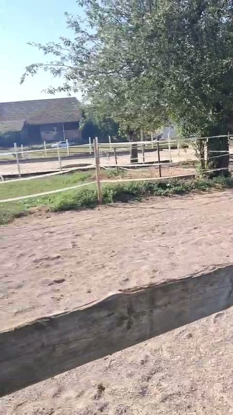 Sechserstall für eher kleinere Gäste (Video)